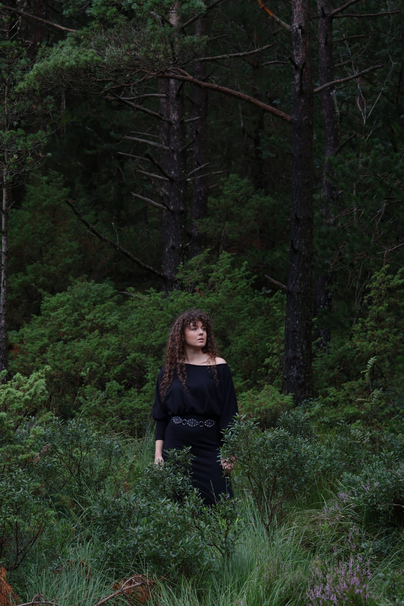 ABIES black