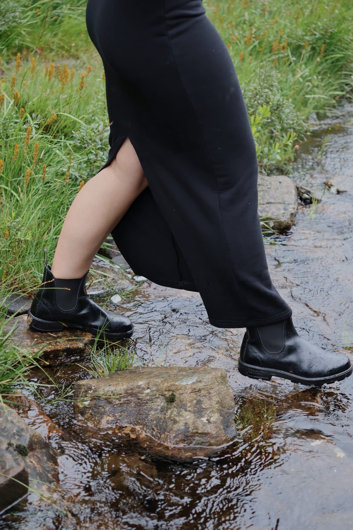 ABIES black